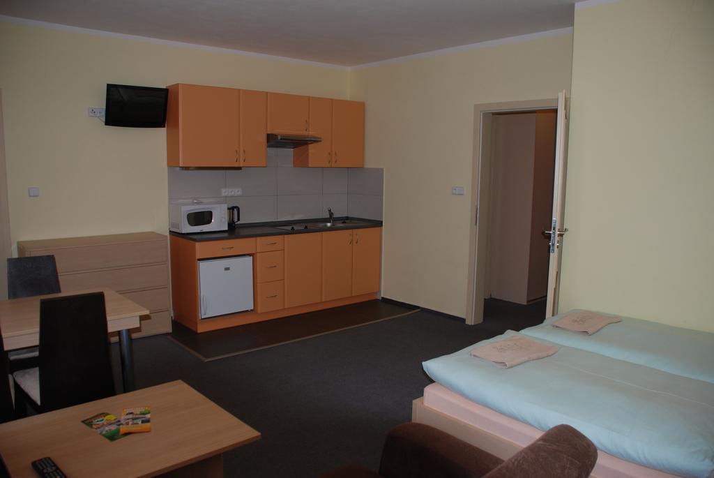 Apartmany Sport With Garage Rokytnice nad Jizerou Kamer foto